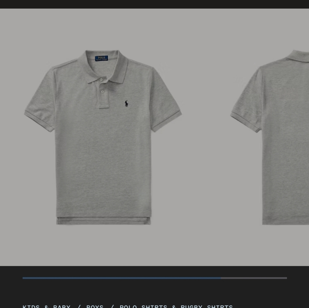 Polo Ralph Lauren The Iconic Mesh Polo Shirt
